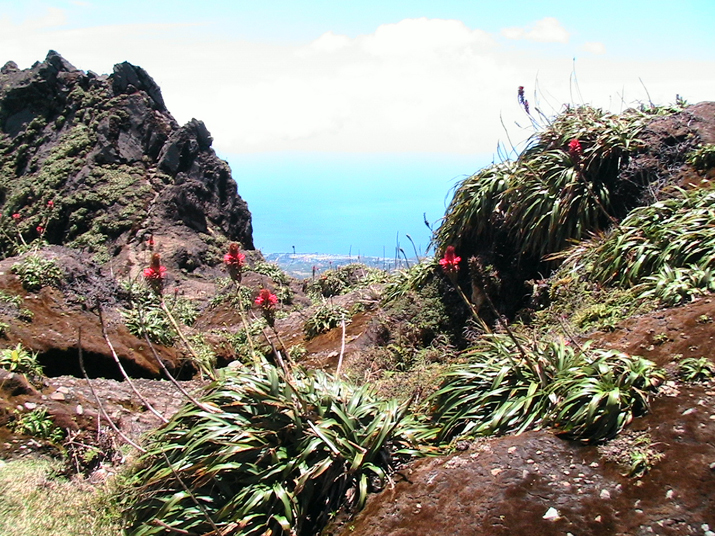 26a - La Soufirère 045.jpg